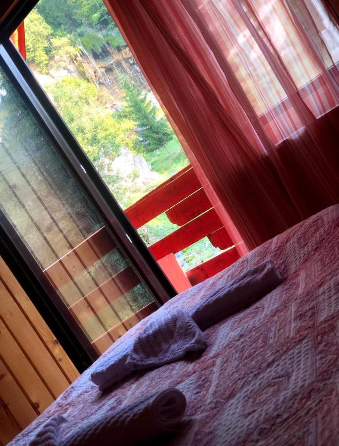 Deea Cascada Villa Vidra  Eksteriør billede
